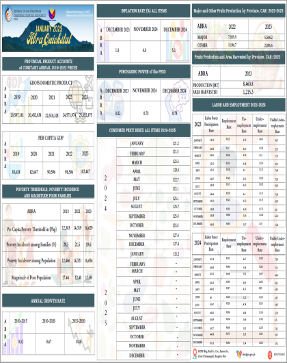 QUICKSTAT: January 2025 - PSO Abra