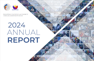 2024 PSA RSSO-CAR Annual Report